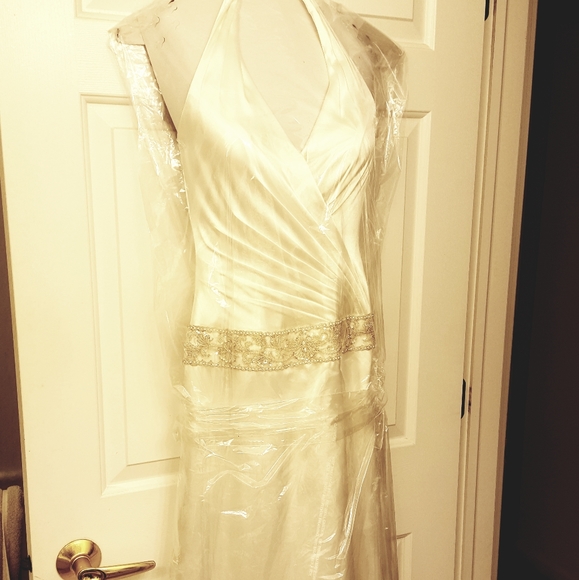 David's Bridal wedding gown - Picture 7 of 7